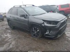 2T3E6RFV8PW041395 2023 TOYOTA RAV 4