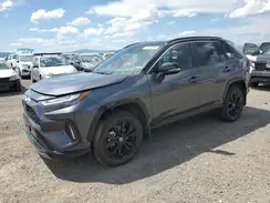 2T3E6RFV8PW041879 2023 TOYOTA RAV 4