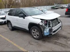 2T3E6RFV8RW048026 2024 TOYOTA RAV 4