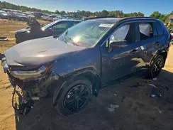 2T3E6RFV8RW049449 2024 TOYOTA RAV 4