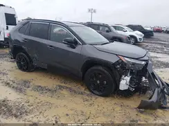 2T3E6RFV8RW055767 2024 TOYOTA RAV 4
