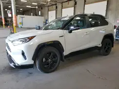 2T3E6RFV9MW012029 2021 TOYOTA RAV 4