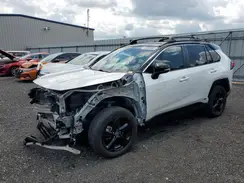 2T3E6RFV9MW019952 2021 TOYOTA RAV 4