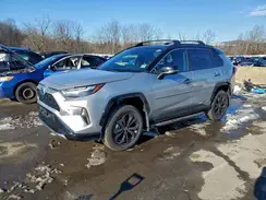 2T3E6RFVXRW053504 2024 TOYOTA RAV 4