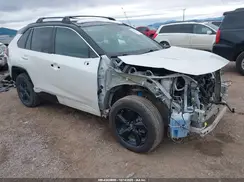 2T3EWRFV1KW036130 2019 TOYOTA RAV 4