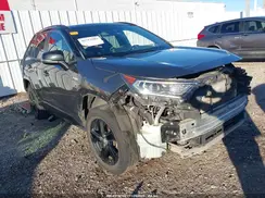 2T3EWRFV3LW066733 2020 TOYOTA RAV 4