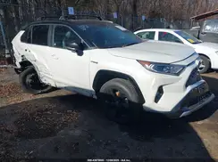 2T3EWRFV5KW041931 2019 TOYOTA RAV 4