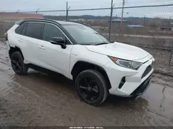 2T3EWRFV6LW051501 2020 TOYOTA RAV 4