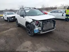 2T3EWRFV6LW070288 2020 TOYOTA RAV 4