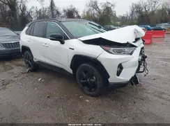 2T3EWRFV7KW033054 2019 TOYOTA RAV 4
