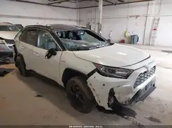 2T3EWRFV8LW054562 2020 TOYOTA RAV 4