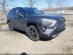 2T3EWRFV8LW074116 2020 TOYOTA RAV 4