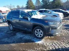 2T3F1RFV0KC051772 2019 TOYOTA RAV 4