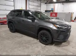 2T3F1RFV0PC336124 2023 TOYOTA RAV 4