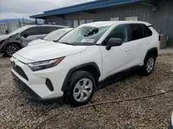 2T3F1RFV0RC424979 2024 TOYOTA RAV 4