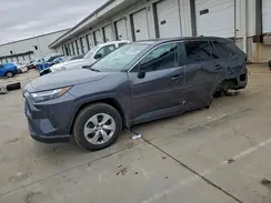 2T3F1RFV0SC495704 2025 TOYOTA RAV 4