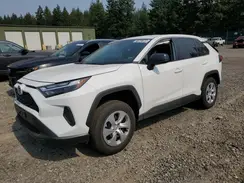 2T3F1RFV0SW536363 2025 TOYOTA RAV 4