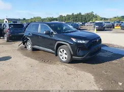 2T3F1RFV1KC011359 2019 TOYOTA RAV 4