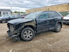 2T3F1RFV1LW116113 2020 TOYOTA RAV 4