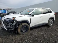 2T3F1RFV1PC326203 2023 TOYOTA RAV 4