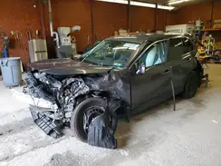 2T3F1RFV1PW344117 2023 TOYOTA RAV 4