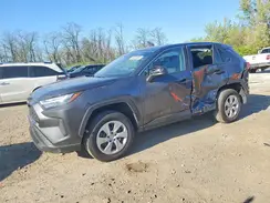 2T3F1RFV1RW429655 2024 TOYOTA RAV 4