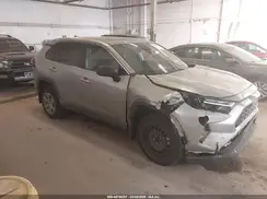 2T3F1RFV2PC336660 2023 TOYOTA RAV 4