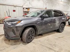 2T3F1RFV2PW357250 2023 TOYOTA RAV 4