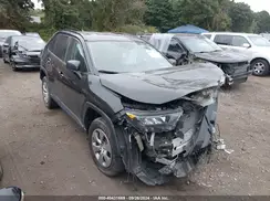 2T3F1RFV3KW018666 2019 TOYOTA RAV 4