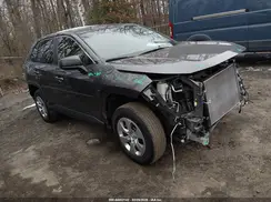 2T3F1RFV3PC342371 2023 TOYOTA RAV 4