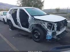 2T3F1RFV3PW367446 2023 TOYOTA RAV 4