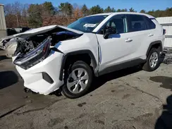 2T3F1RFV3RC436902 2024 TOYOTA RAV 4