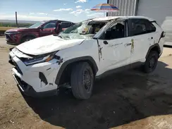 2T3F1RFV3RC465784 2024 TOYOTA RAV 4
