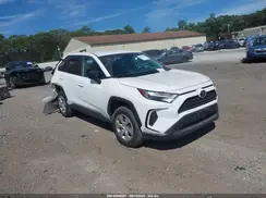 2T3F1RFV3RC488191 2024 TOYOTA RAV 4