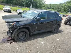 2T3F1RFV3RW444724 2024 TOYOTA RAV 4