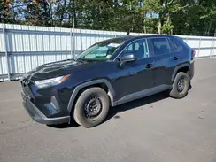 2T3F1RFV3RW467971 2024 TOYOTA RAV 4