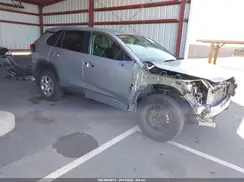 2T3F1RFV4PC356585 2023 TOYOTA RAV 4