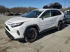 2T3F1RFV4PW335248 2023 TOYOTA RAV 4