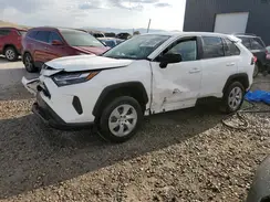 2T3F1RFV4RW484391 2024 TOYOTA RAV 4