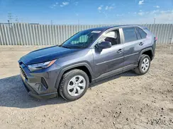 2T3F1RFV4SC504372 2025 TOYOTA RAV 4
