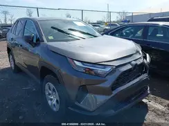 2T3F1RFV5PC348446 2023 TOYOTA RAV 4