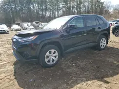 2T3F1RFV5PC367112 2023 TOYOTA RAV 4