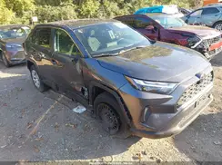 2T3F1RFV5RC417560 2024 TOYOTA RAV 4