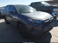 2T3F1RFV5RC419499 2024 TOYOTA RAV 4
