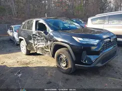 2T3F1RFV6RC419950 2024 TOYOTA RAV 4