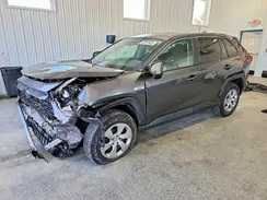 2T3F1RFV6RC445609 2024 TOYOTA RAV 4