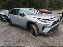 2T3F1RFV6RW429988 2024 TOYOTA RAV 4
