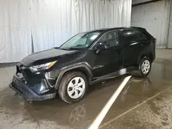 2T3F1RFV6RW443356 2024 TOYOTA RAV 4