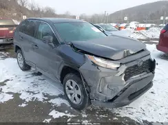 2T3F1RFV6RW486112 2024 TOYOTA RAV 4