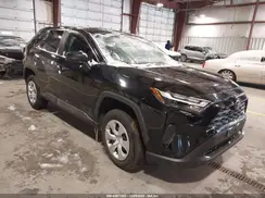 2T3F1RFV6SW550302 2025 TOYOTA RAV 4